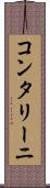 コンタリーニ Scroll