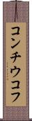 コンチウコフ Scroll