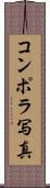コンポラ写真 Scroll