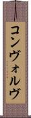 コンヴォルヴ Scroll