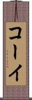 コーイ Scroll