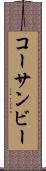 コーサンビー Scroll