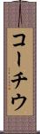 コーチウ Scroll