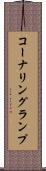 コーナリング・ランプ Scroll