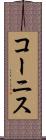コーニス Scroll