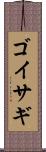 ゴイサギ Scroll