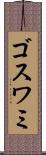 ゴスワミ Scroll