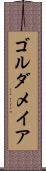 ゴルダメイア Scroll