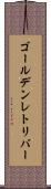 ゴールデンレトリバー Scroll