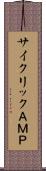 サイクリックＡＭＰ Scroll