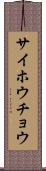 サイホウチョウ Scroll