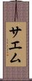 サエム Scroll