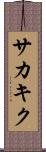 サカキク Scroll