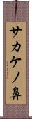 サカケノ鼻 Scroll