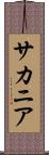 サカニア Scroll