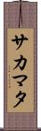 サカマタ Scroll