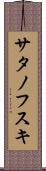 サタノフスキ Scroll
