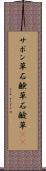 サボン草 Scroll