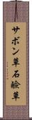 サボン草 Scroll