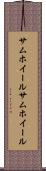 サムホイール Scroll