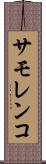 サモレンコ Scroll