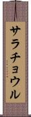サラチョウル Scroll