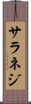 サラネジ Scroll