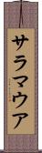 サラマウア Scroll