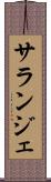 サランジェ Scroll