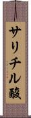 サリチル酸 Scroll
