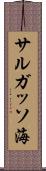 サルガッソ海 Scroll