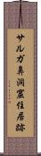 サルガ鼻洞窟住居跡 Scroll