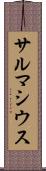 サルマシウス Scroll