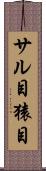 サル目 Scroll