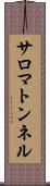 サロマトンネル Scroll
