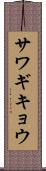 サワギキョウ Scroll