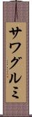 サワグルミ Scroll