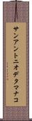 サンアントニオデタマナコ Scroll