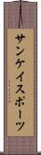 サンケイスポーツ Scroll