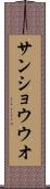 サンショウウオ Scroll