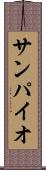 サンパイオ Scroll