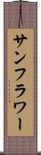 サンフラワー Scroll