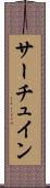 サーチュイン Scroll