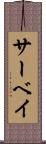 サーベイ Scroll