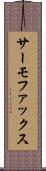 サーモファックス Scroll