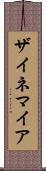 ザイネマイア Scroll