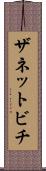 ザネットビチ Scroll