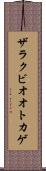 ザラクビオオトカゲ Scroll