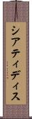 シアティディス Scroll