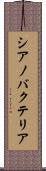 シアノバクテリア Scroll